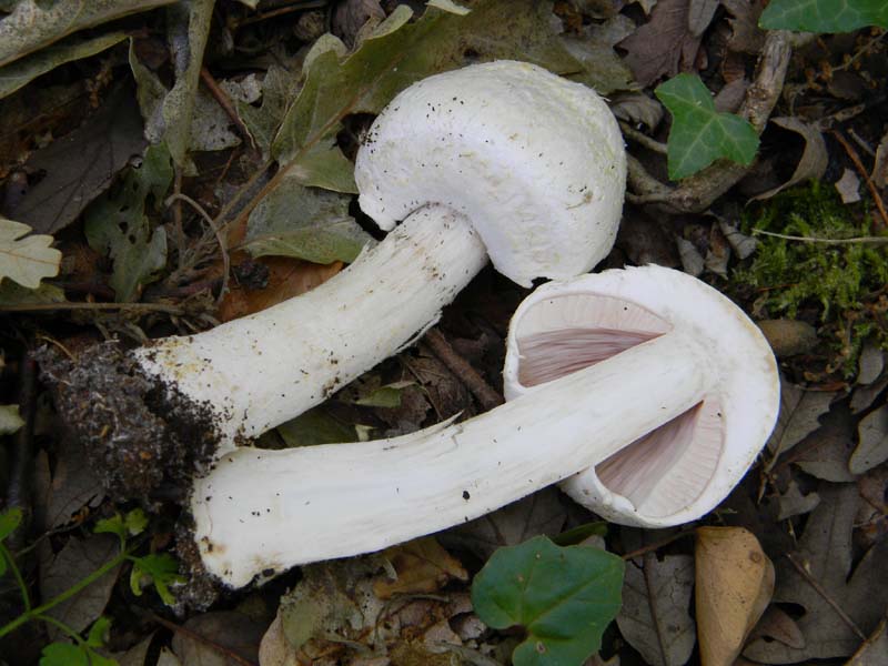 Altri ritrovamenti del 24.05.2011.