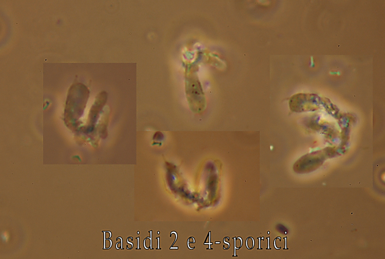 Miniera di Gambatesa 28