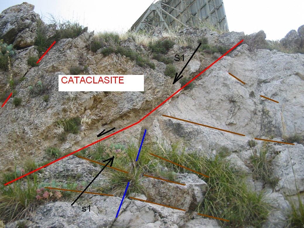 Faglia