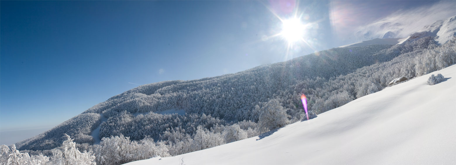 per i sentieri del Monte Catria (2)