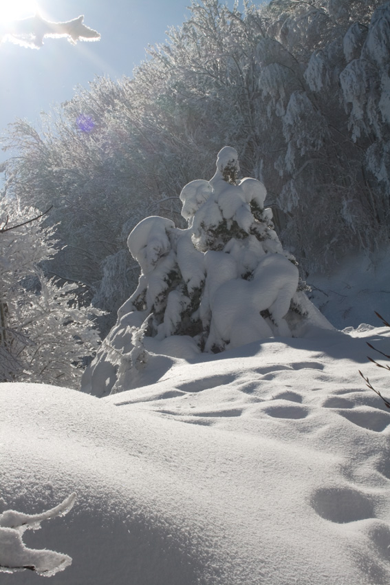 per i sentieri del Monte Catria (2)