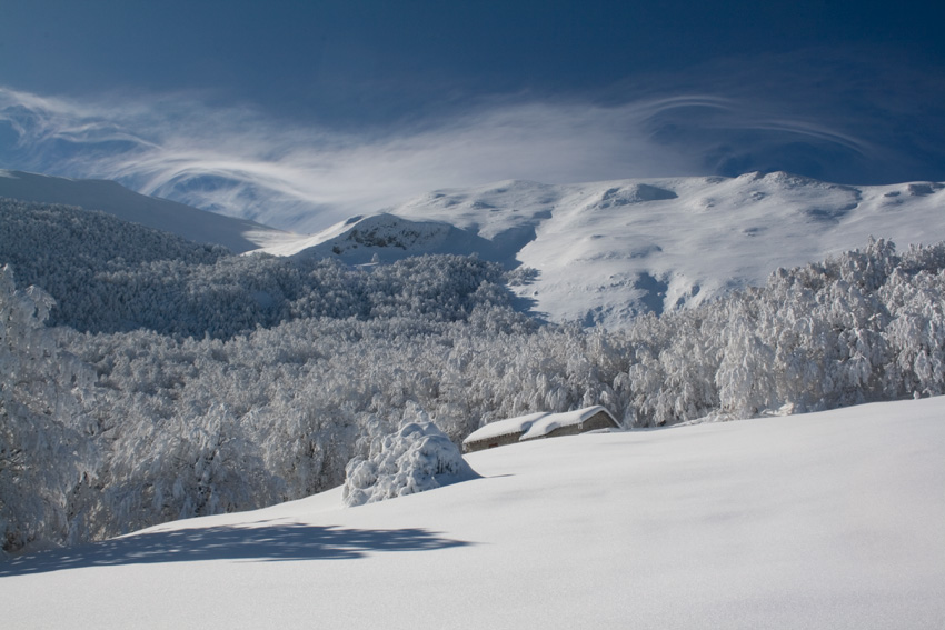 per i sentieri del Monte Catria (2)