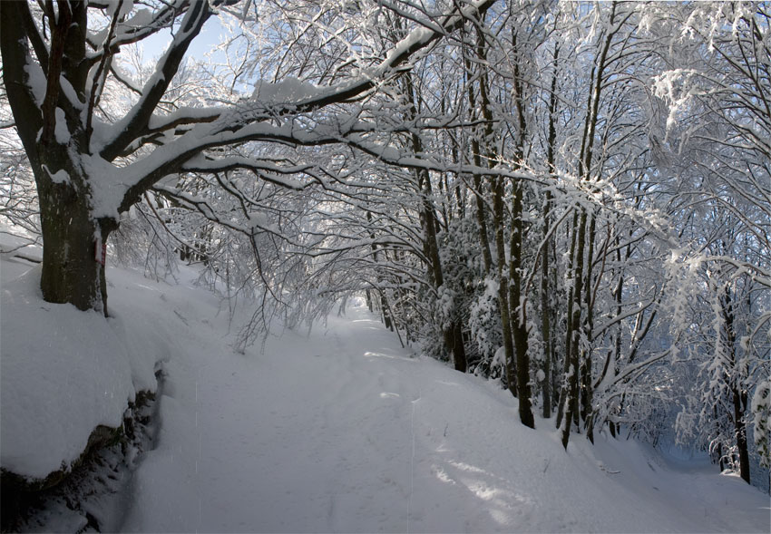 per i sentieri del Monte Catria (2)