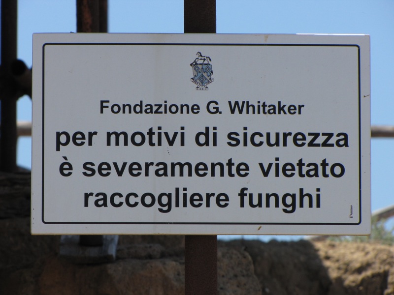 Raccontino autentico della scorsa settimana.