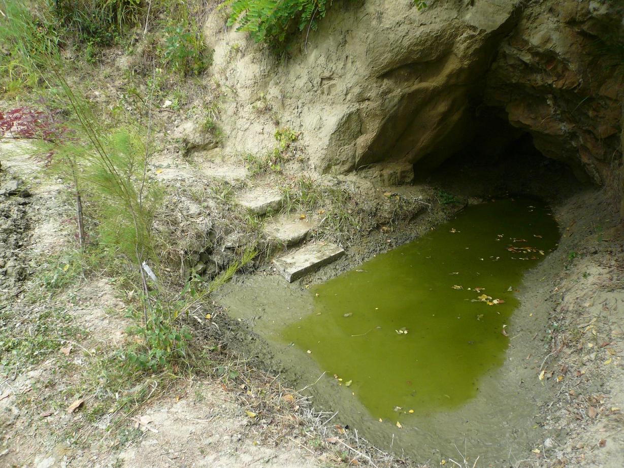 laghetto