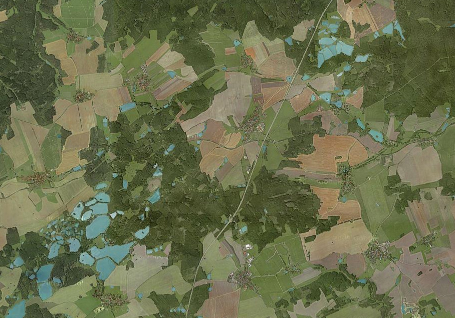 Anfibi e stagni in Turingia (Germania)