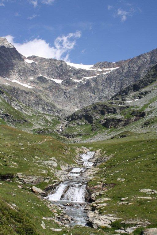 STAMBECCHI DEL MONTE ROSA
