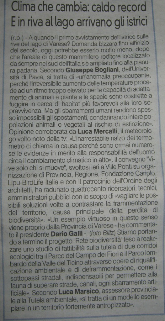 ISTRICE NEL VARESOTTO
