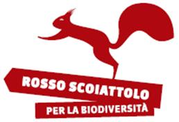 La conservazione dello scoiattolo comune.