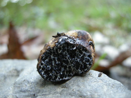 strano oggetto