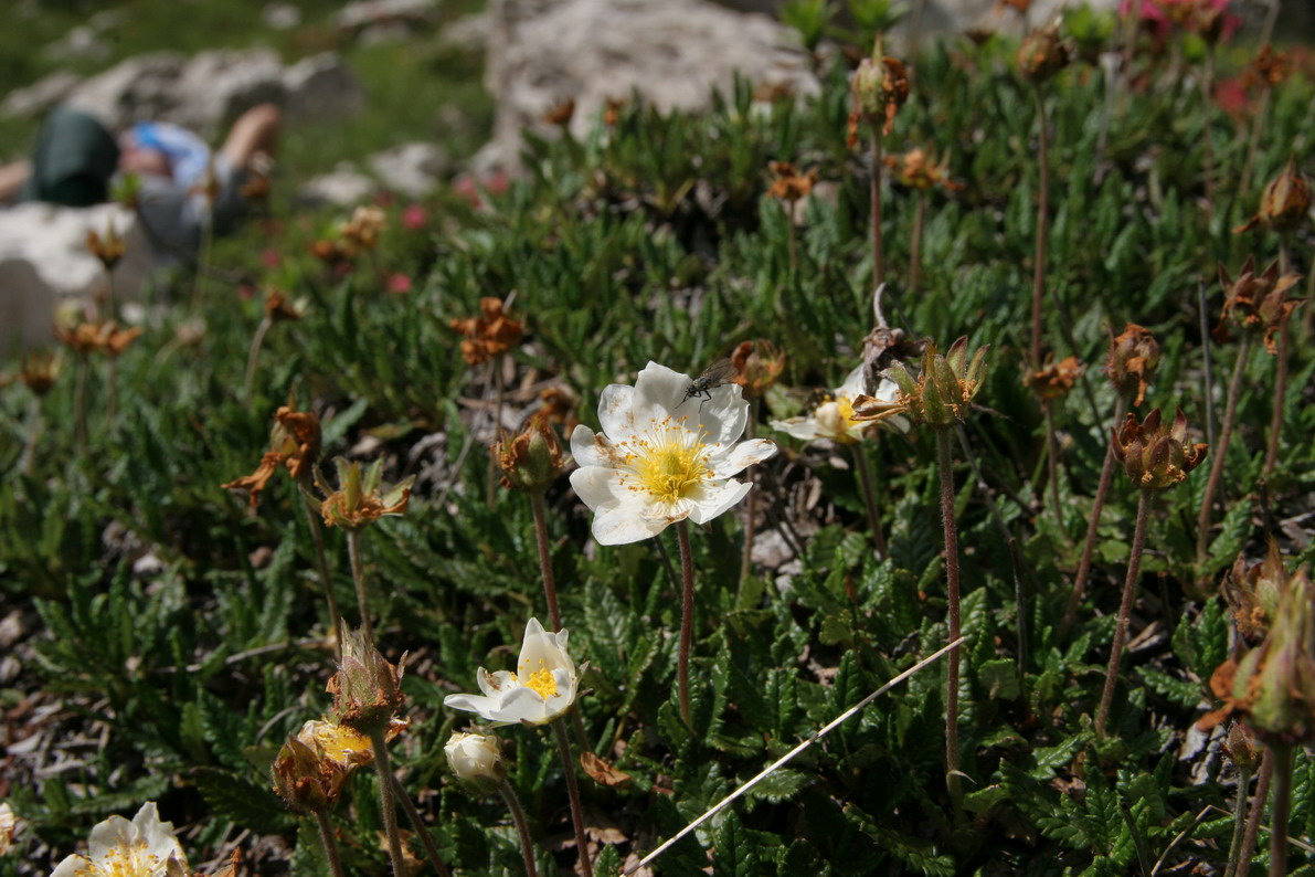 3 giorni tra le dolomiti friulane