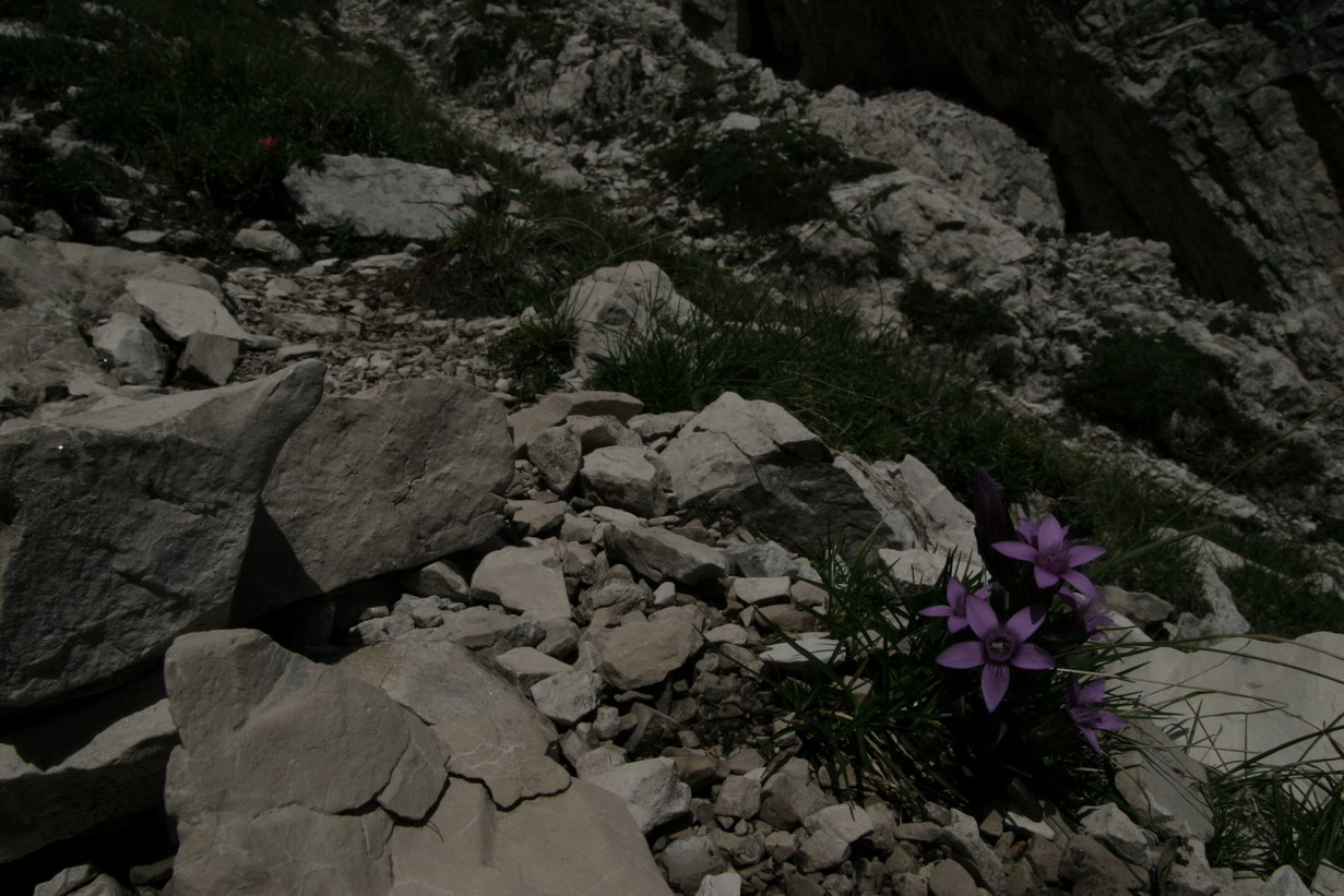 3 giorni tra le dolomiti friulane