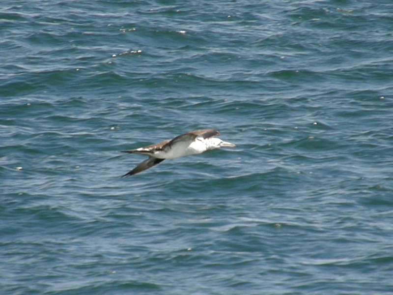 altra identificazione!