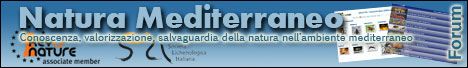 Sito Entomologi italiani