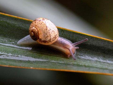 macro le prime soddisfazioni