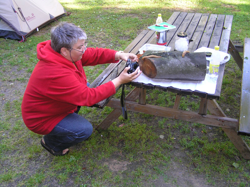 Un giro per cercare Limax (2007-2015)