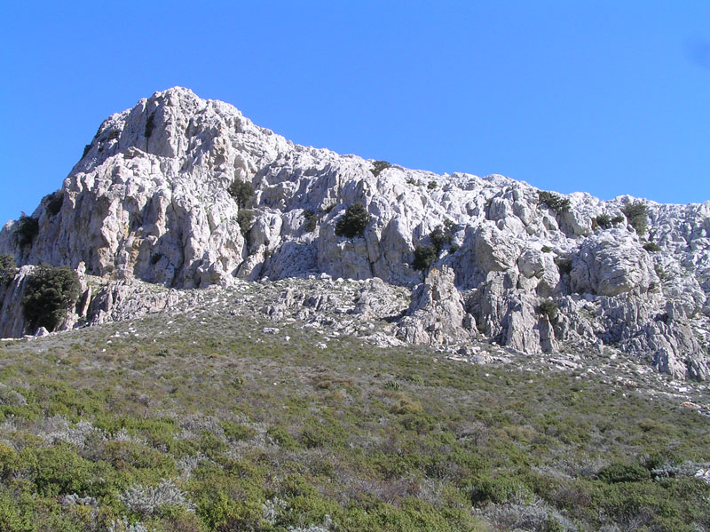 Euscorpius flavicaudis e sicanus  della Sardegna