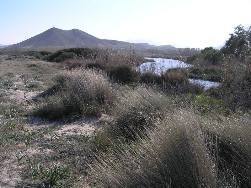 Le dune di Posada (NU) - Sardegna