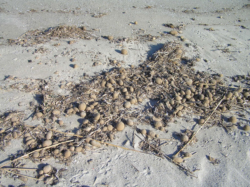 Le dune di Posada (NU) - Sardegna