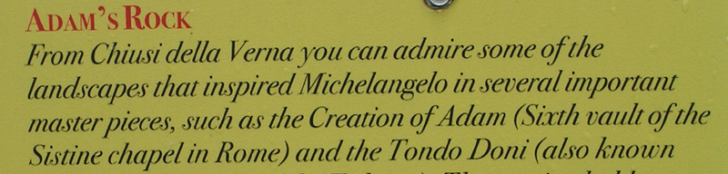 Licheni da Caprese Michelangelo (AR)