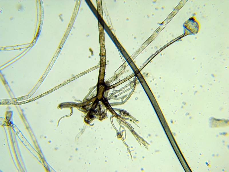 18:20 Start experiment!