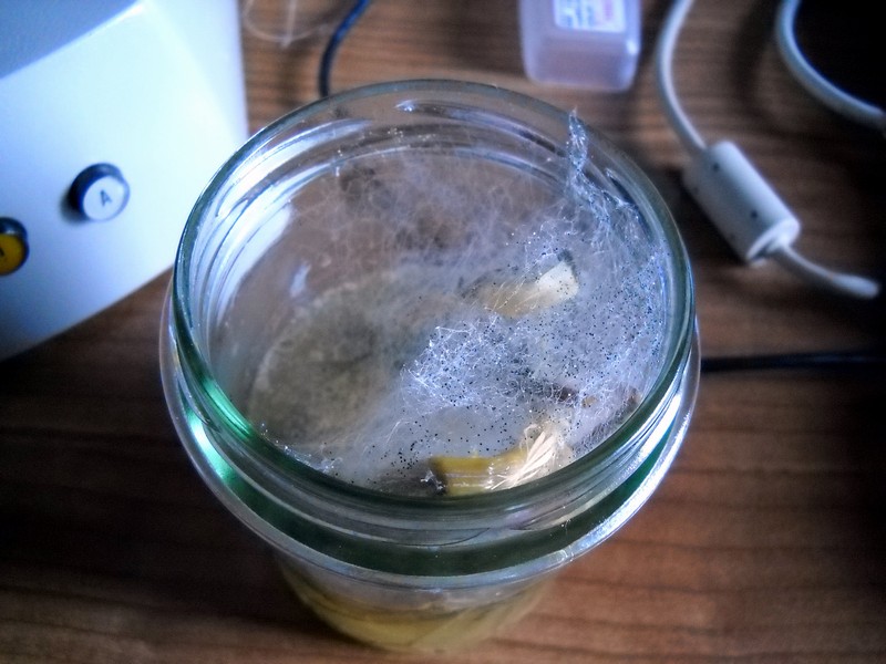 18:20 Start experiment!