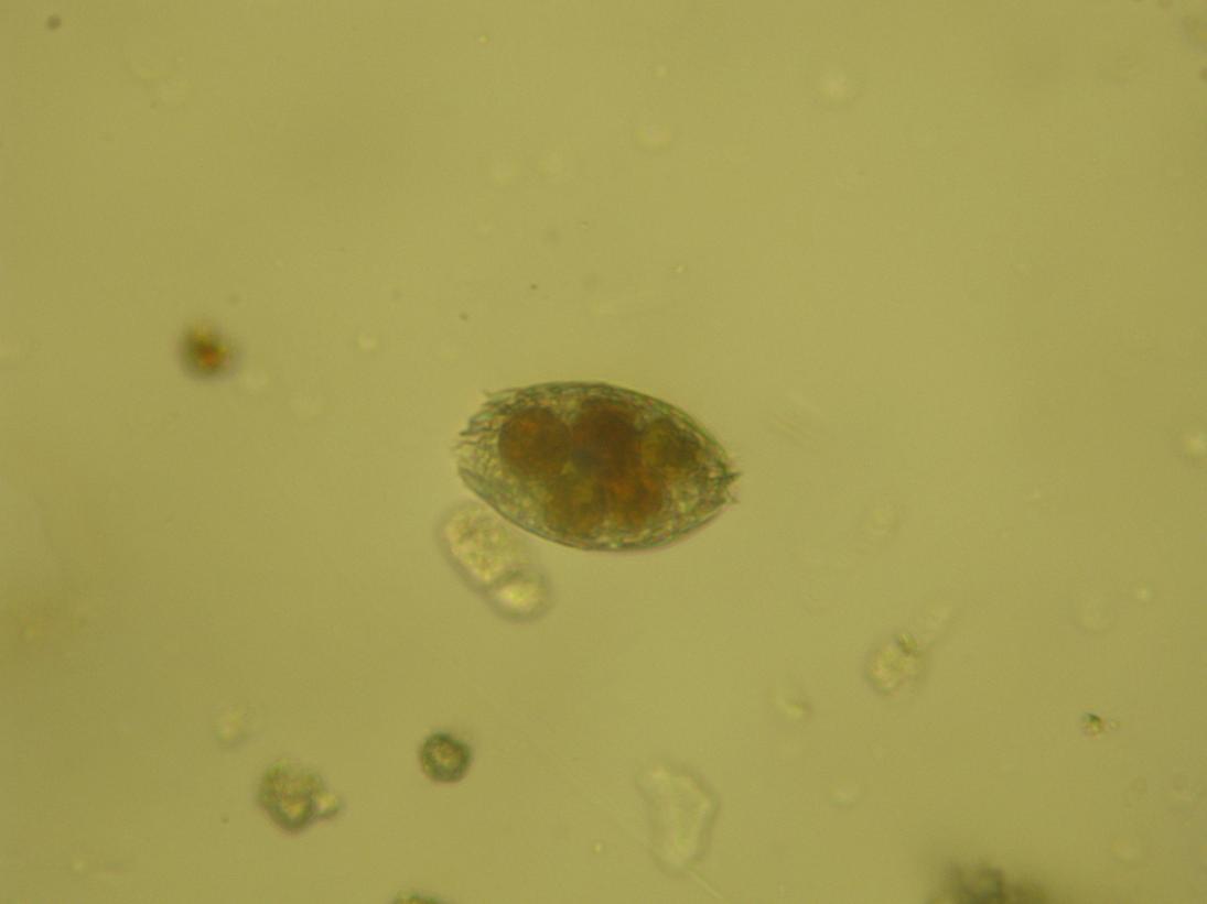 Istruzioni per fotografia