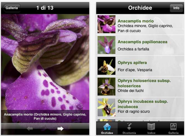 Guida orchidee Iphone, Ipod e Ipad