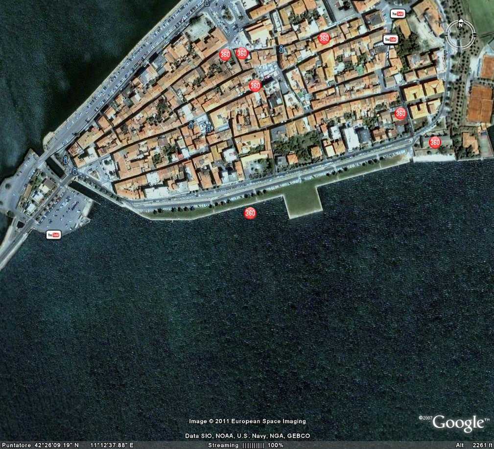 Cormorano o Marangone...
