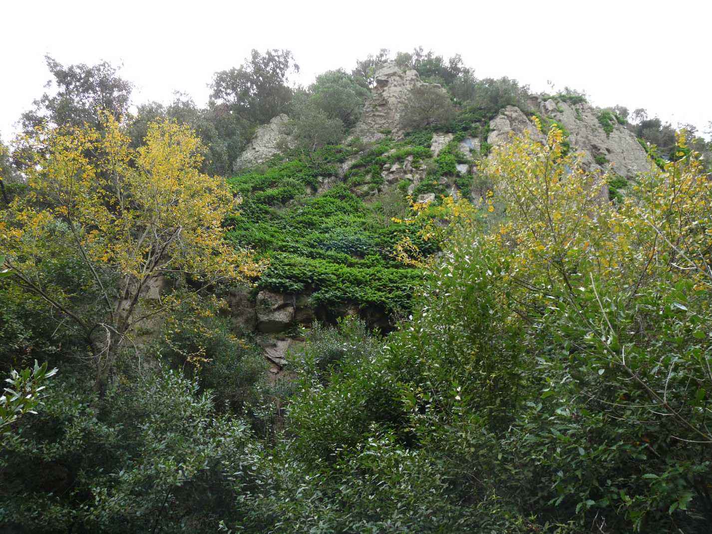 Incontro di Natura Mediterraneo a Roma (FOTO e VIDEO)