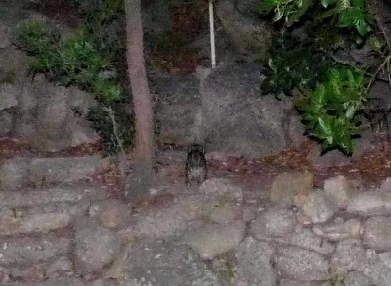 A ognuno il suo SEDERE!