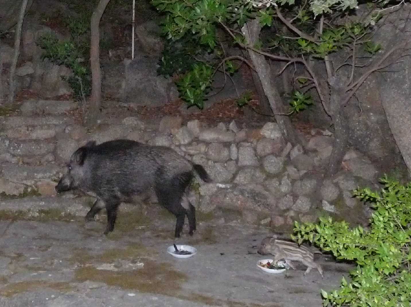 A ognuno il suo SEDERE!