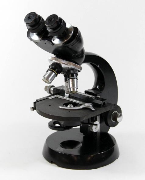 microscopio digitale