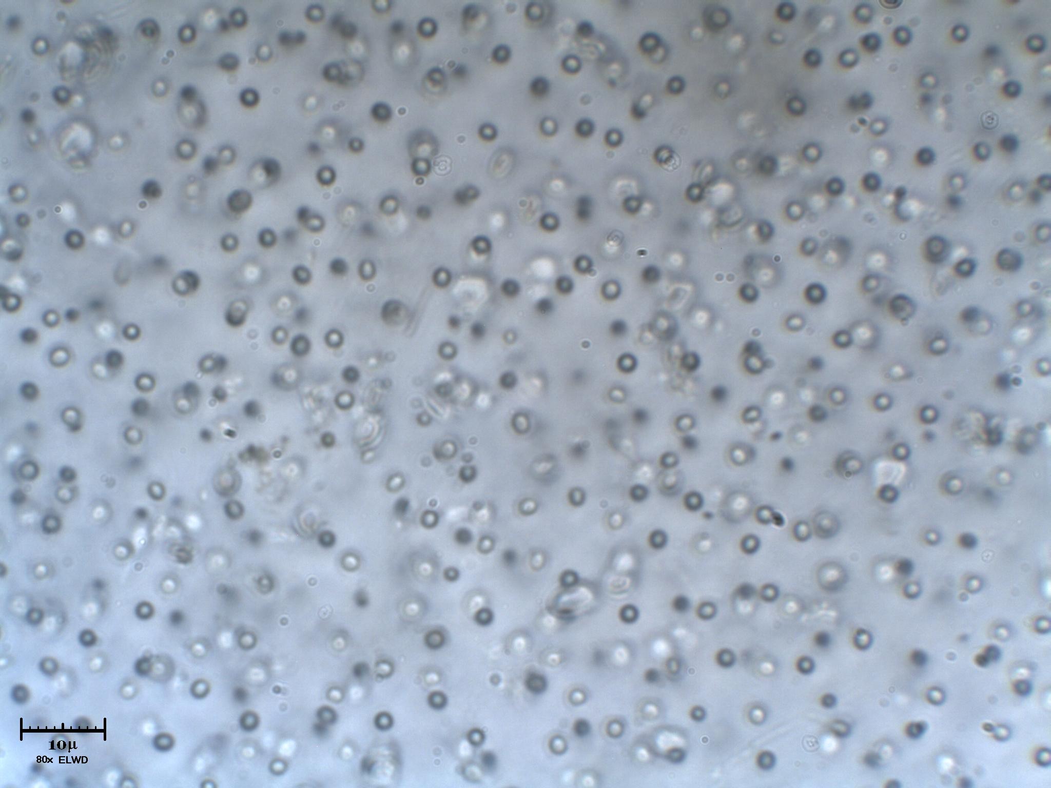 Piccole vite crescono