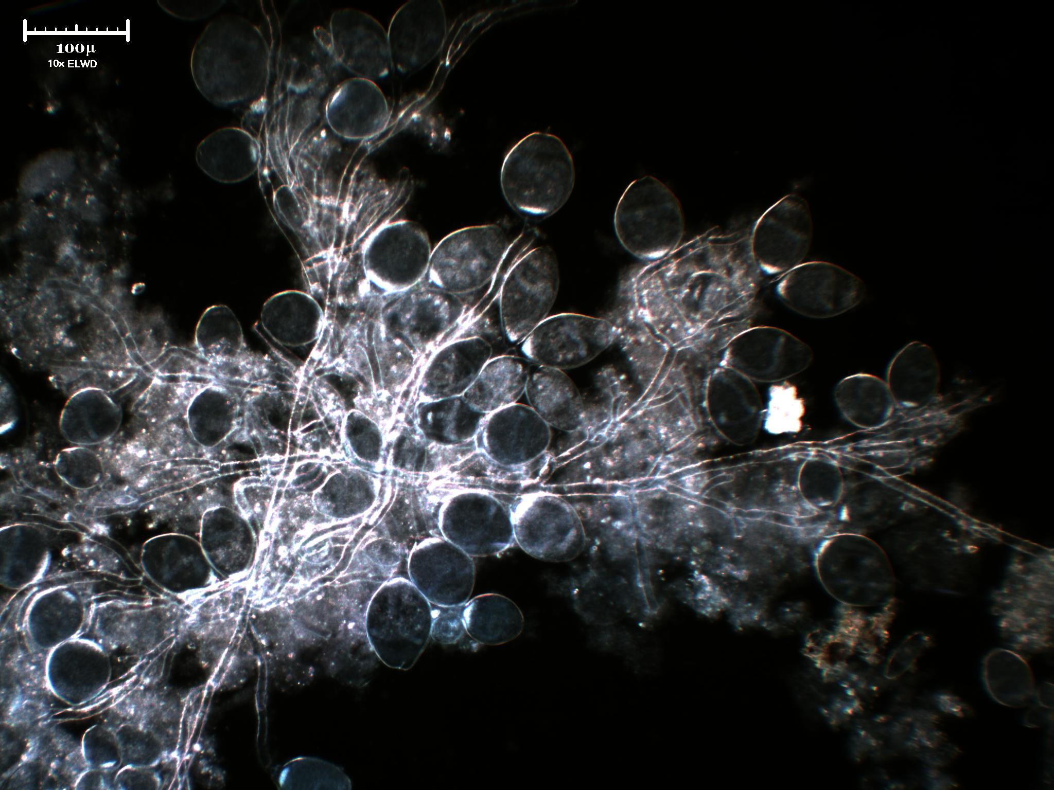 E questi c''entrano con quelli? Concorso fotografico.