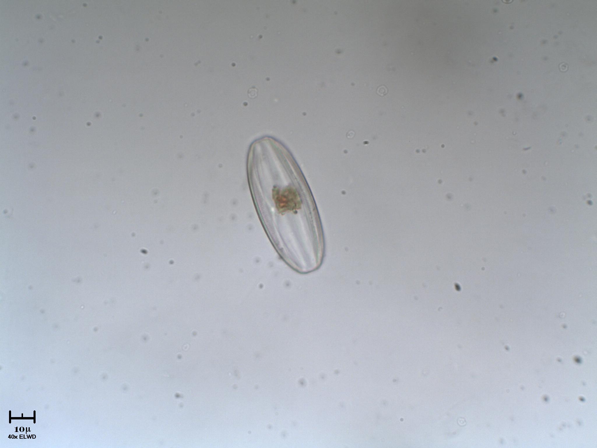 Escoooo !!  non fotografi pi� ?