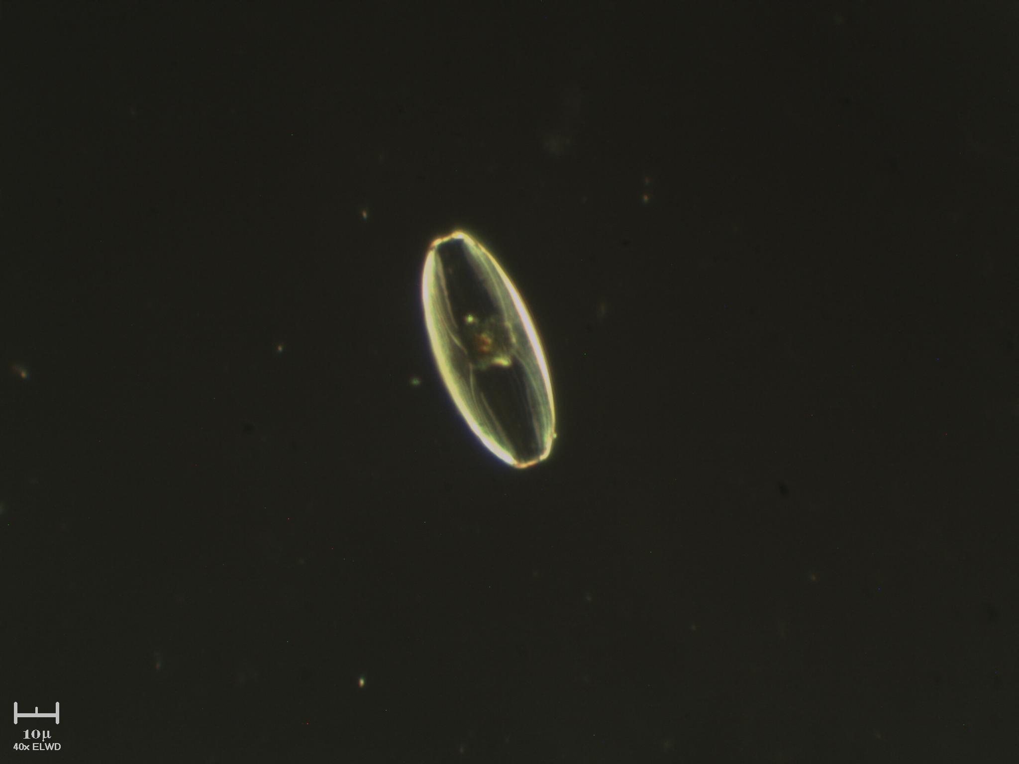 Escoooo !!  non fotografi pi� ?