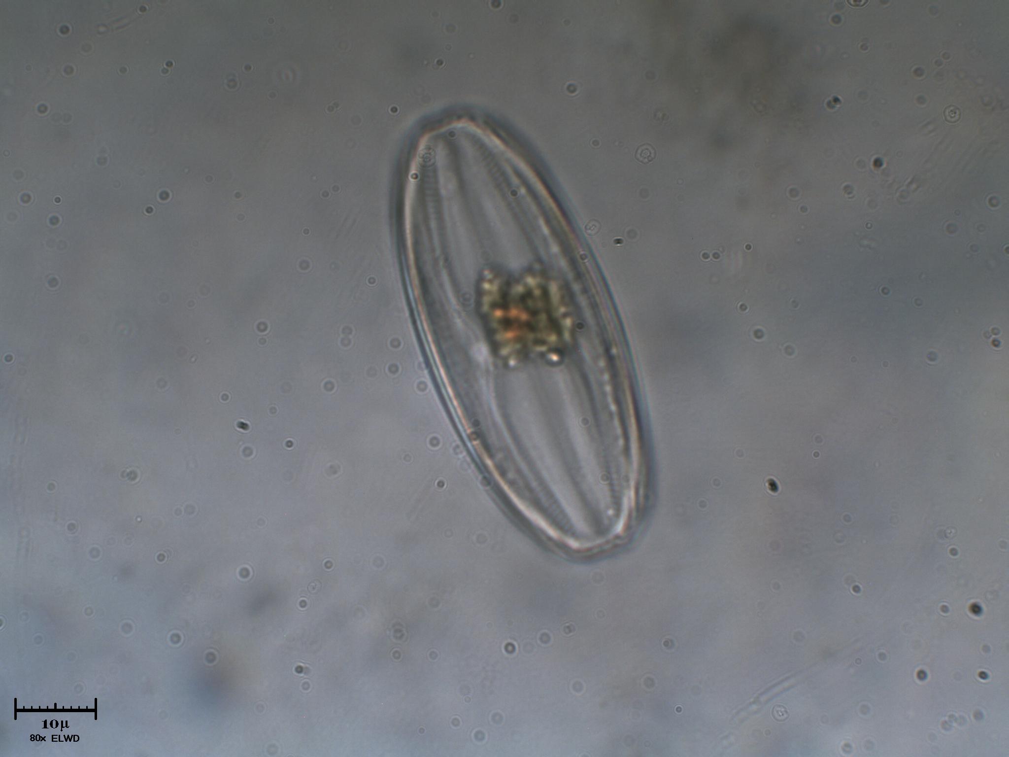 Escoooo !!  non fotografi pi� ?