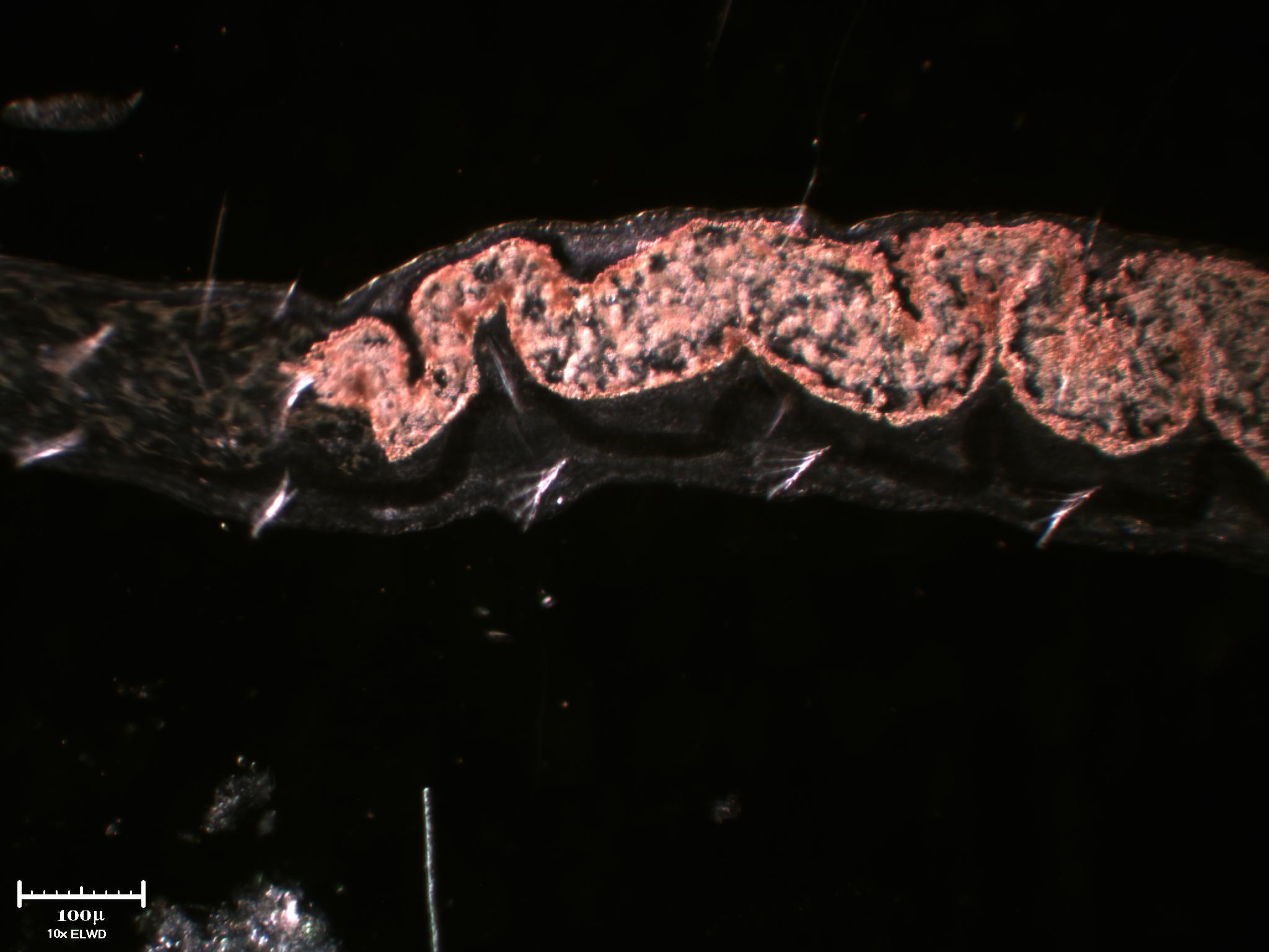 Incontri ravvicinati