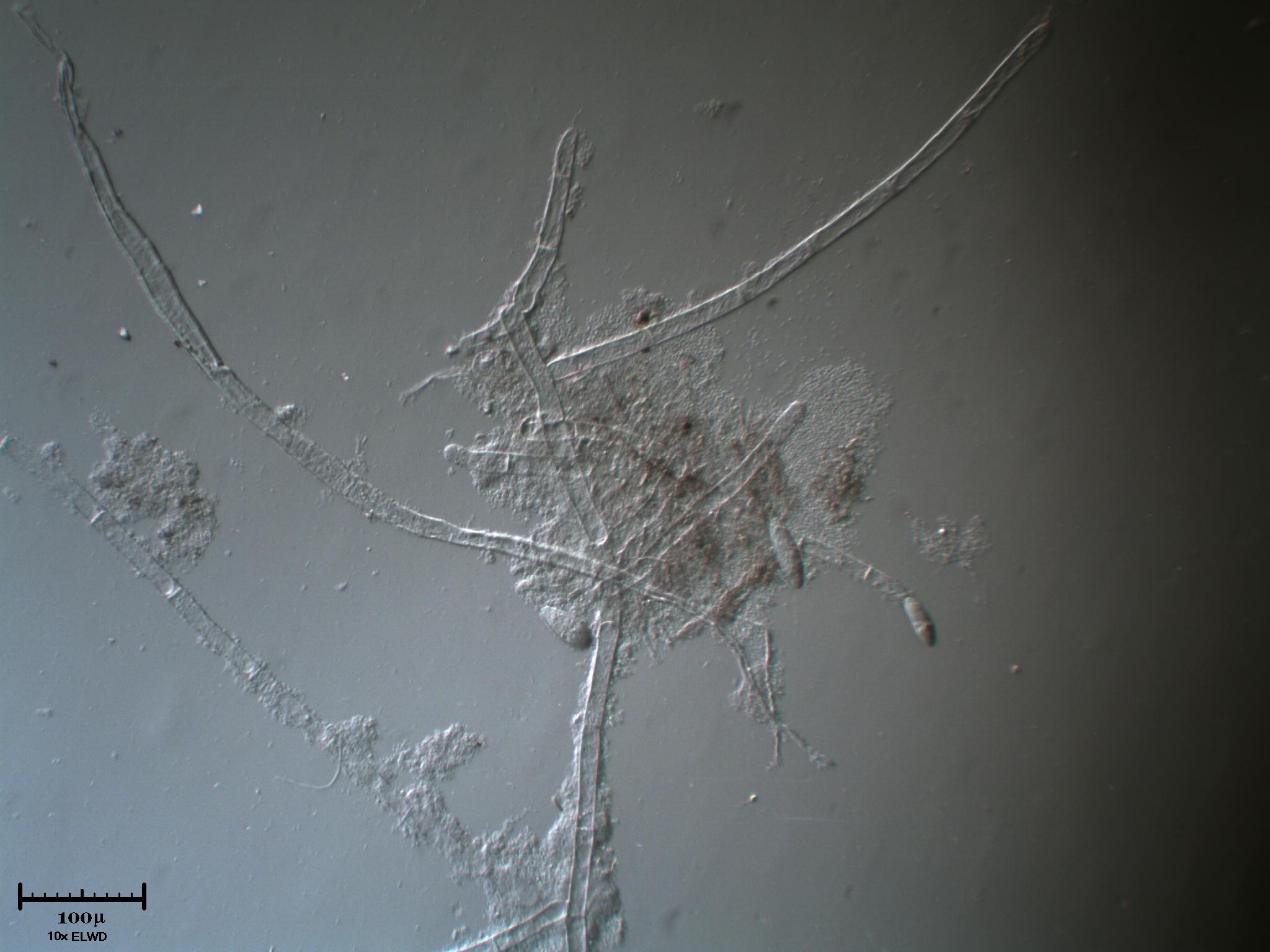 AIUTATEMI fatemi fare bella figura