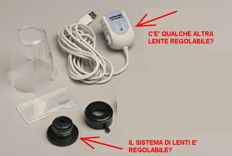 La mia prima foto in microscopia: PIETA''