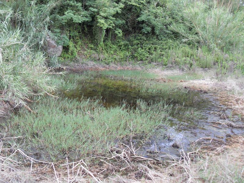 Stagno a due passi dal centro