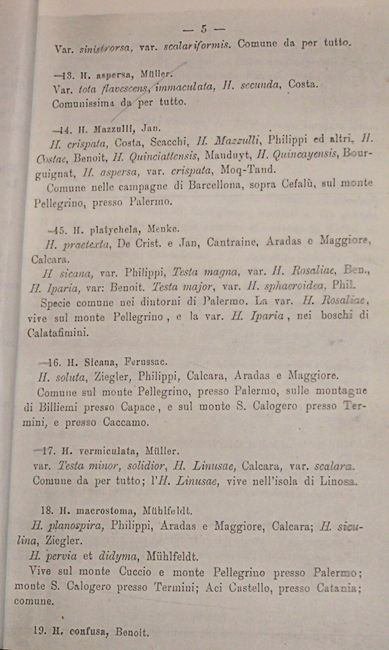 Helix costae Benoit,1857