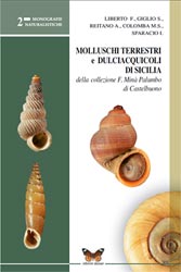 Molluschi della collezione F. Min Palumbo