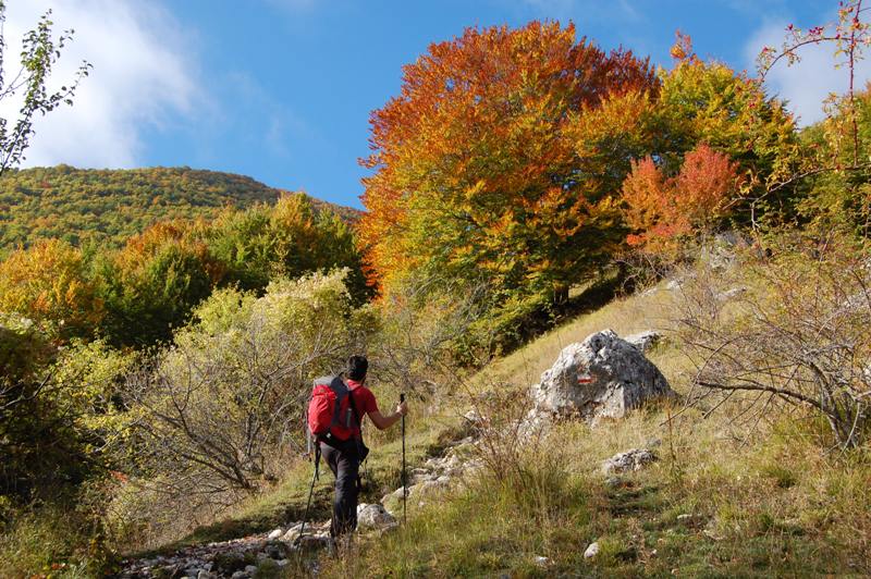 Benvenuto autunno! Esplosione di colori nel PN d''Abruzzo