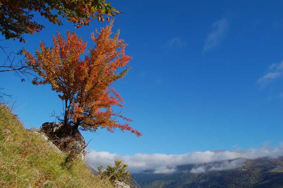 Benvenuto autunno! Esplosione di colori nel PN d''Abruzzo
