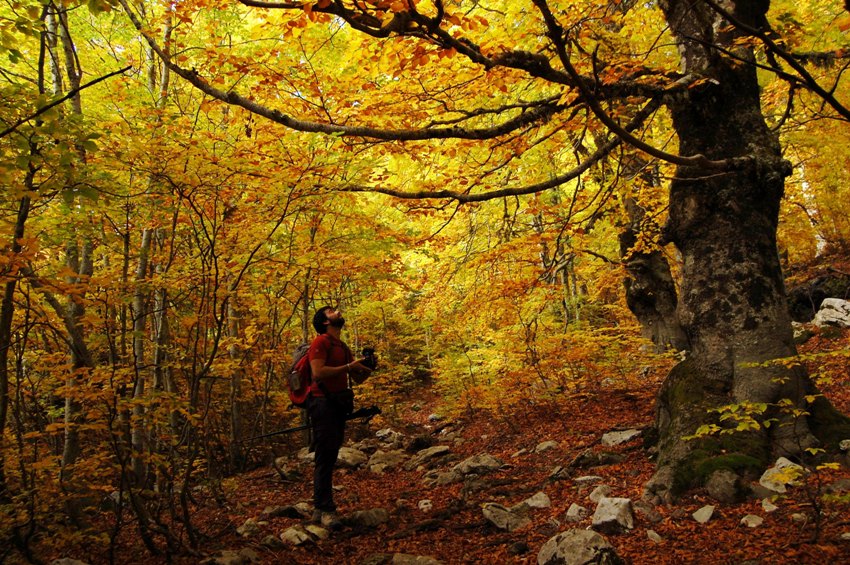 Benvenuto autunno! Esplosione di colori nel PN d''Abruzzo