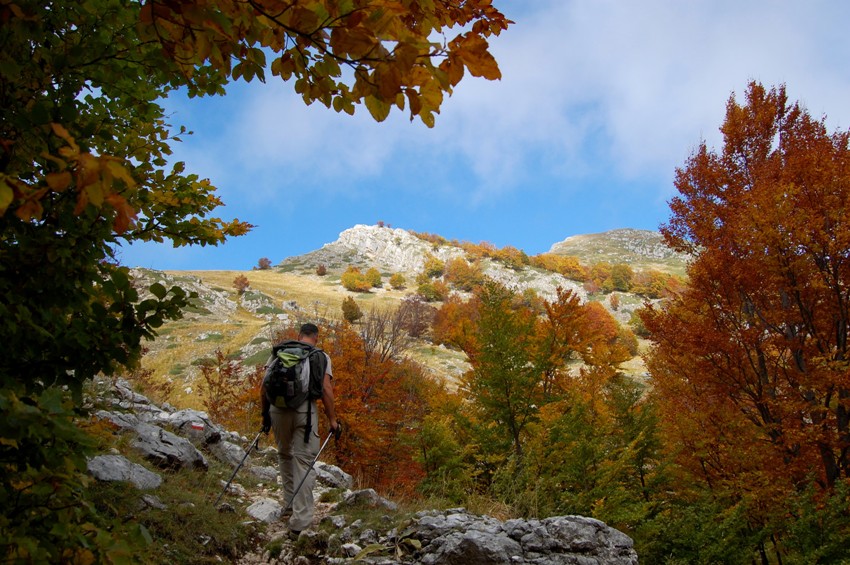 Benvenuto autunno! Esplosione di colori nel PN d''Abruzzo