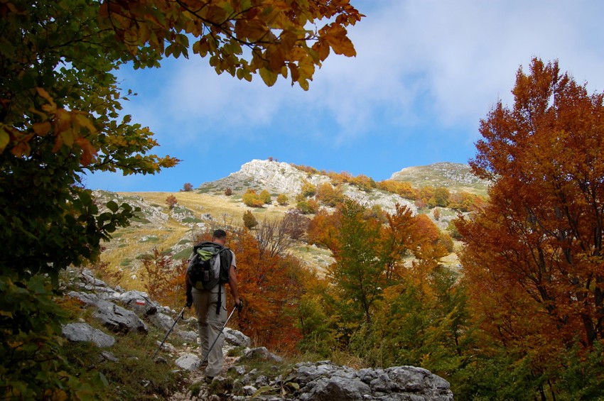 Benvenuto autunno! Esplosione di colori nel PN d''Abruzzo