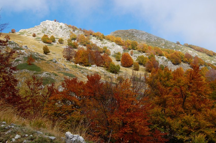 Benvenuto autunno! Esplosione di colori nel PN d''Abruzzo